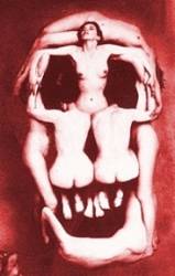 Combat (USA-1) : Demo 2005